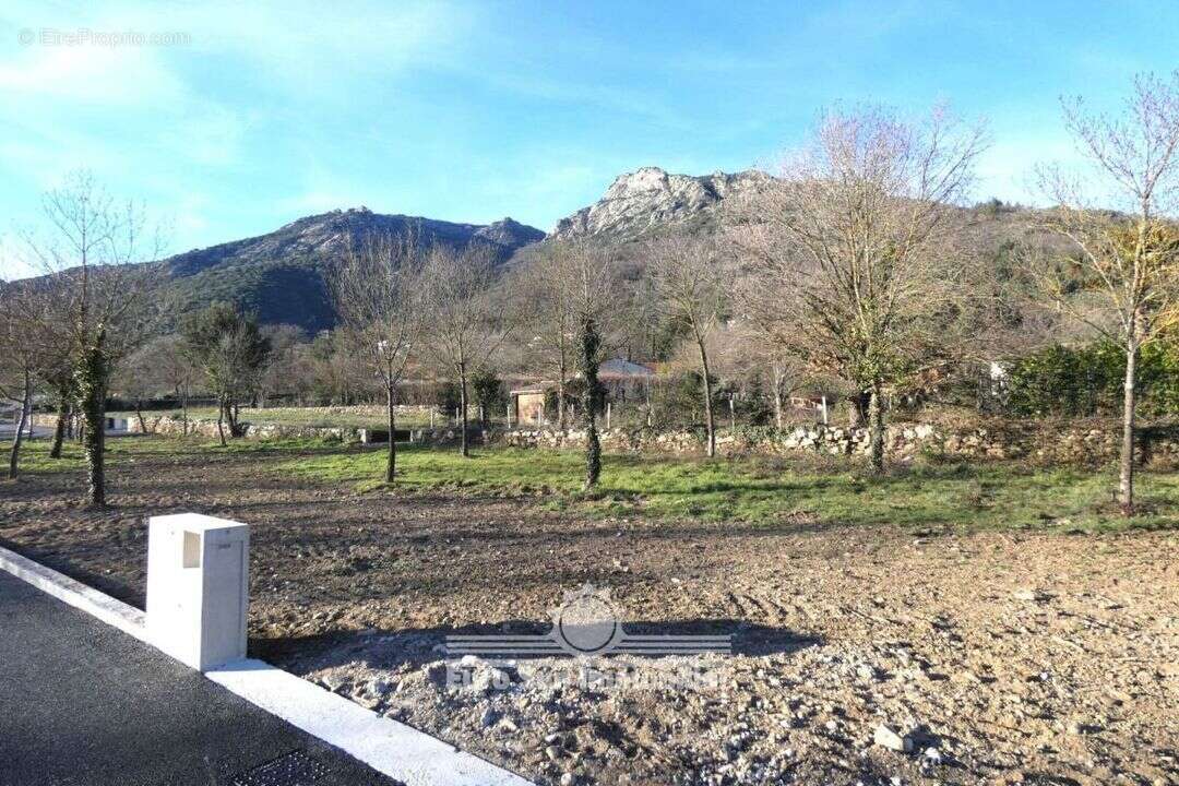 Terrain à COLOMBIERES-SUR-ORB