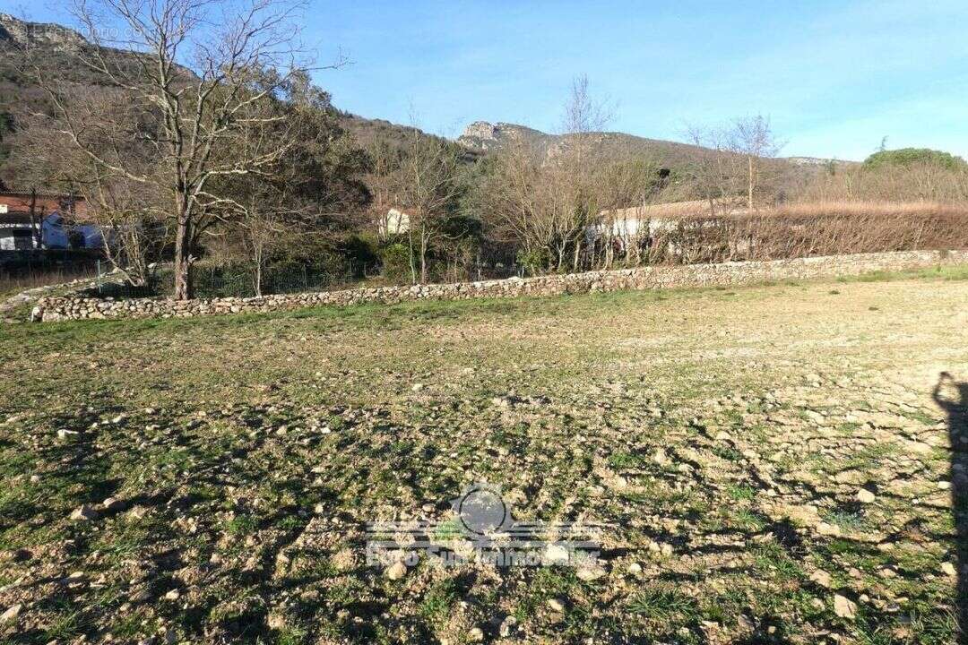 Terrain à COLOMBIERES-SUR-ORB