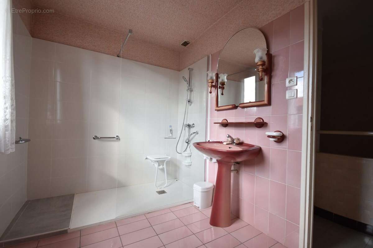 salle d&#039;eau  - Maison à COUIZA