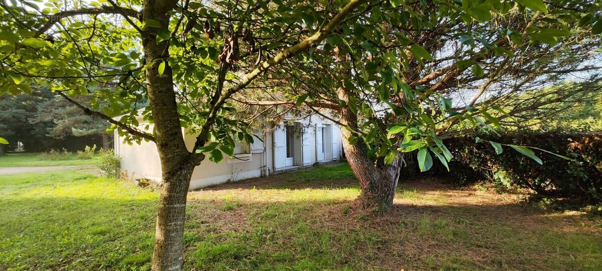 Maison à JUIGNE-SUR-LOIRE