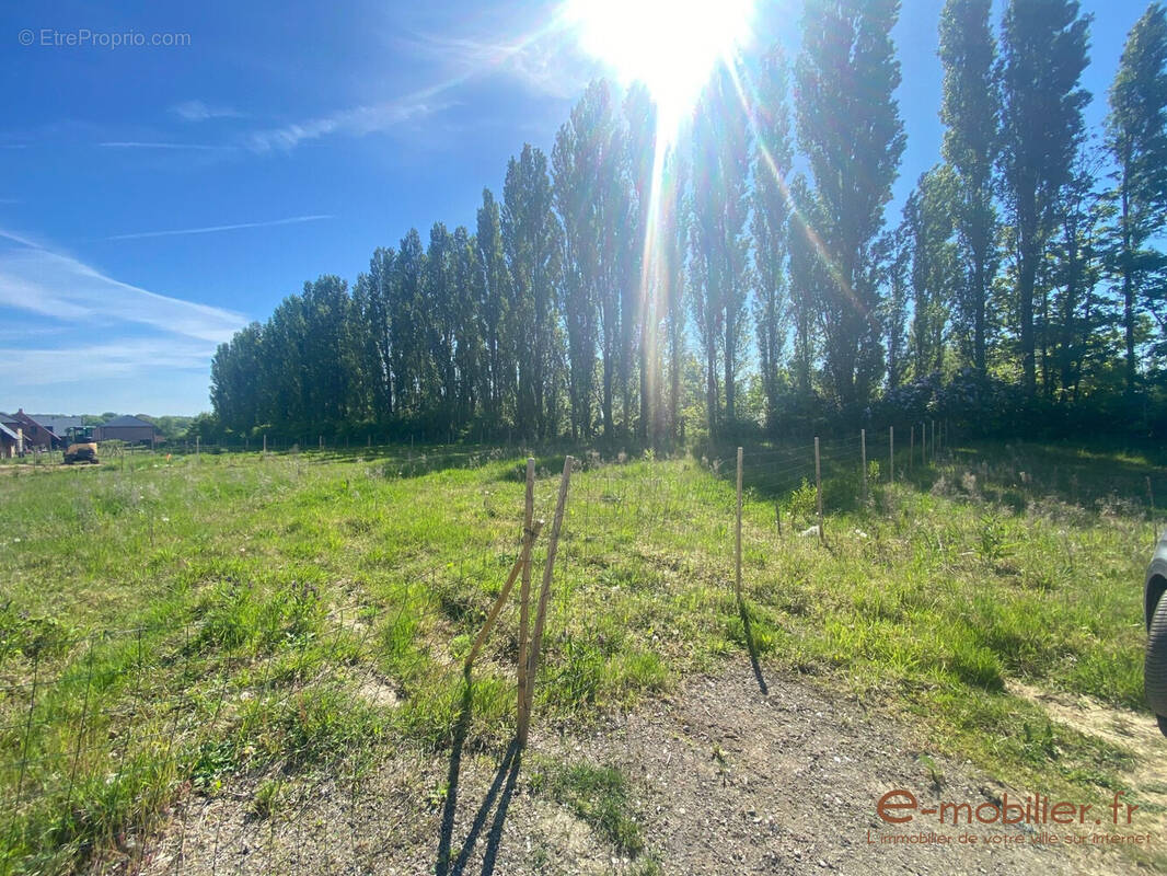 Terrain à MERIGNIES