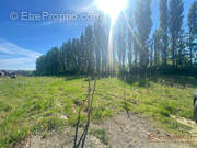 Terrain à MERIGNIES