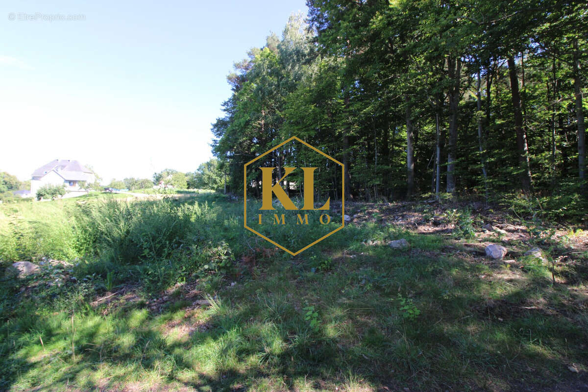 Terrain à LABAROCHE