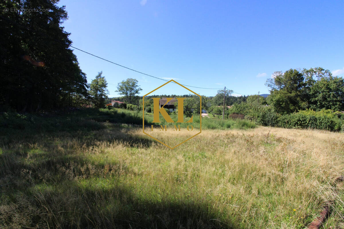 Terrain à LABAROCHE