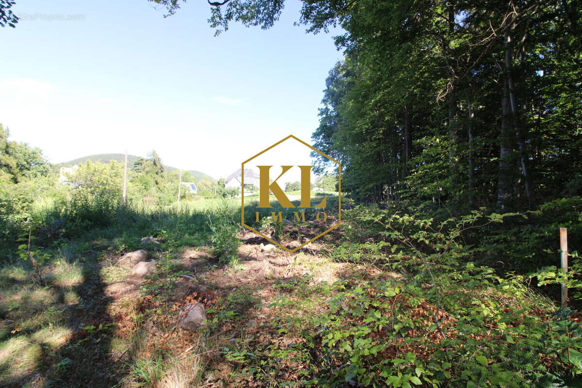 Terrain à LABAROCHE