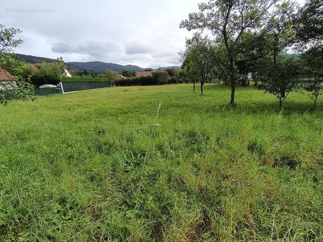 Terrain à GIROMAGNY