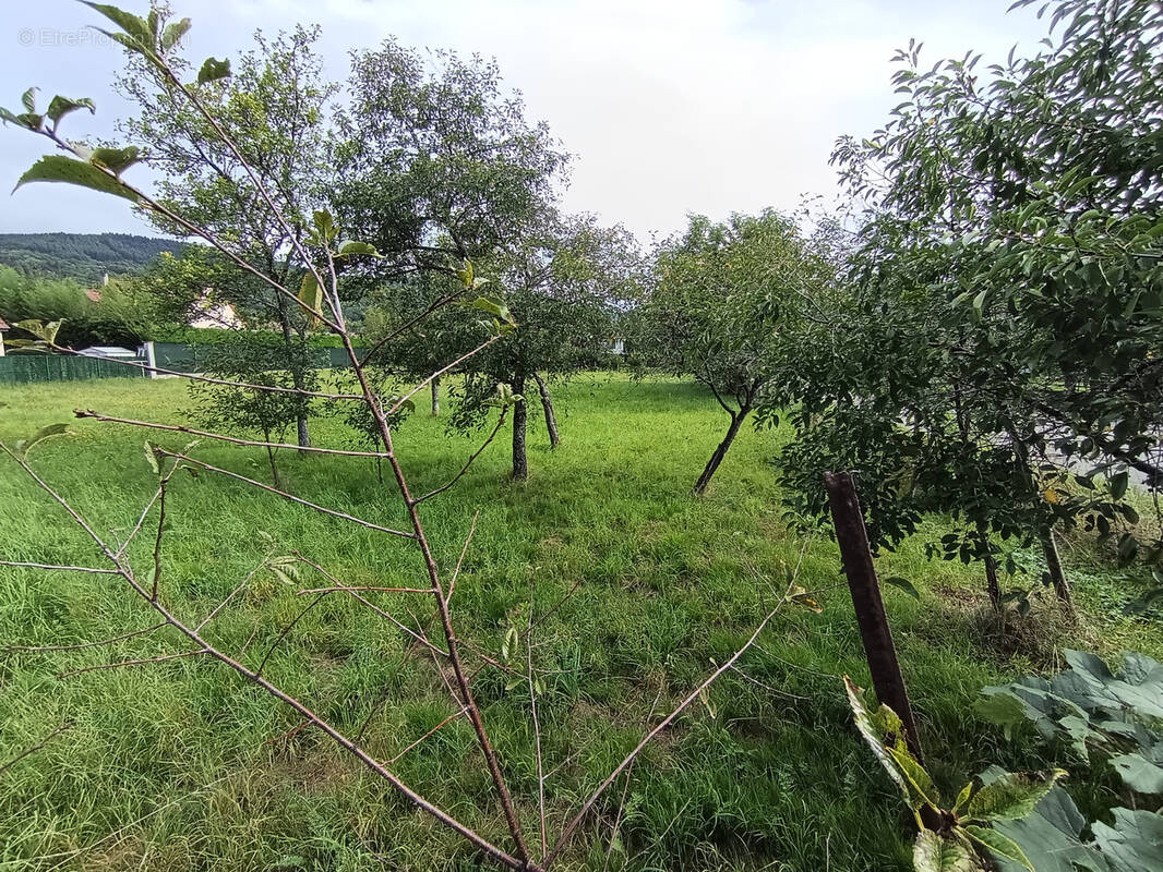 Terrain à GIROMAGNY