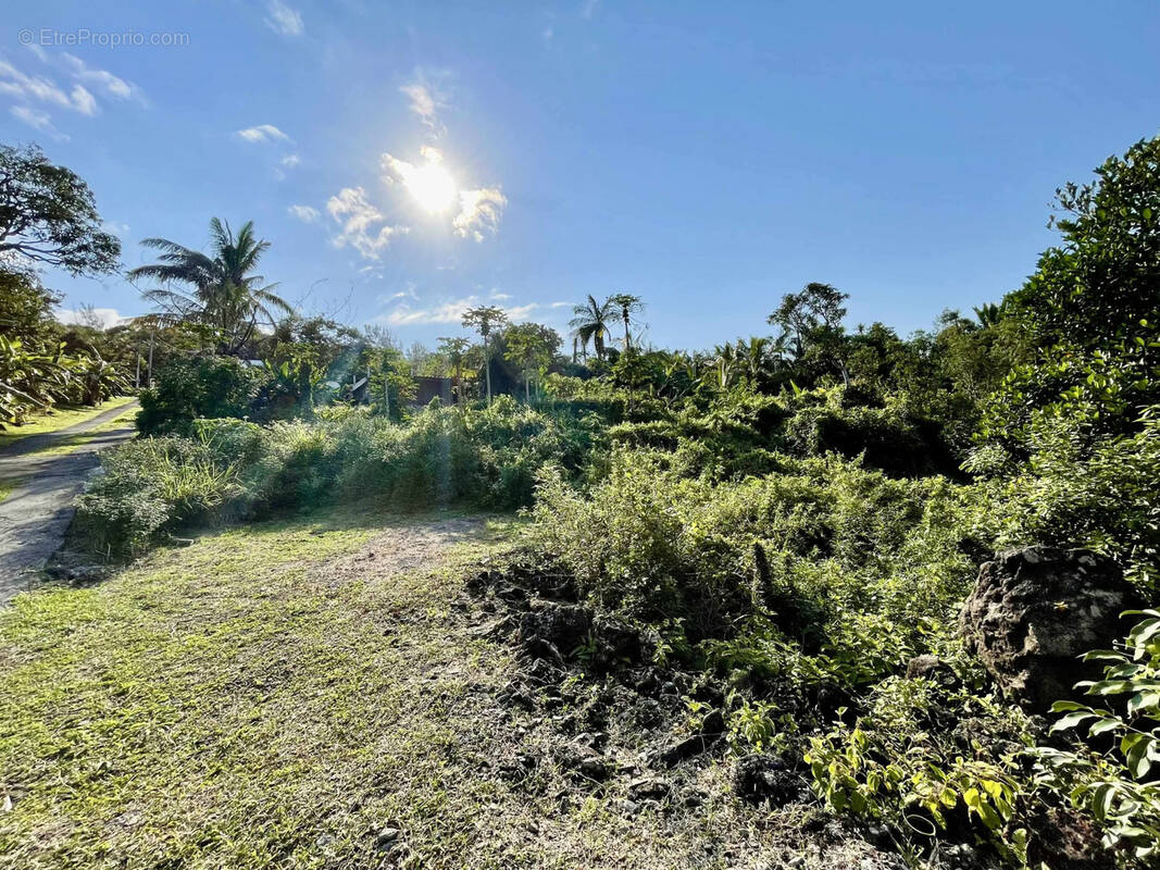 Terrain à SAINT-PHILIPPE