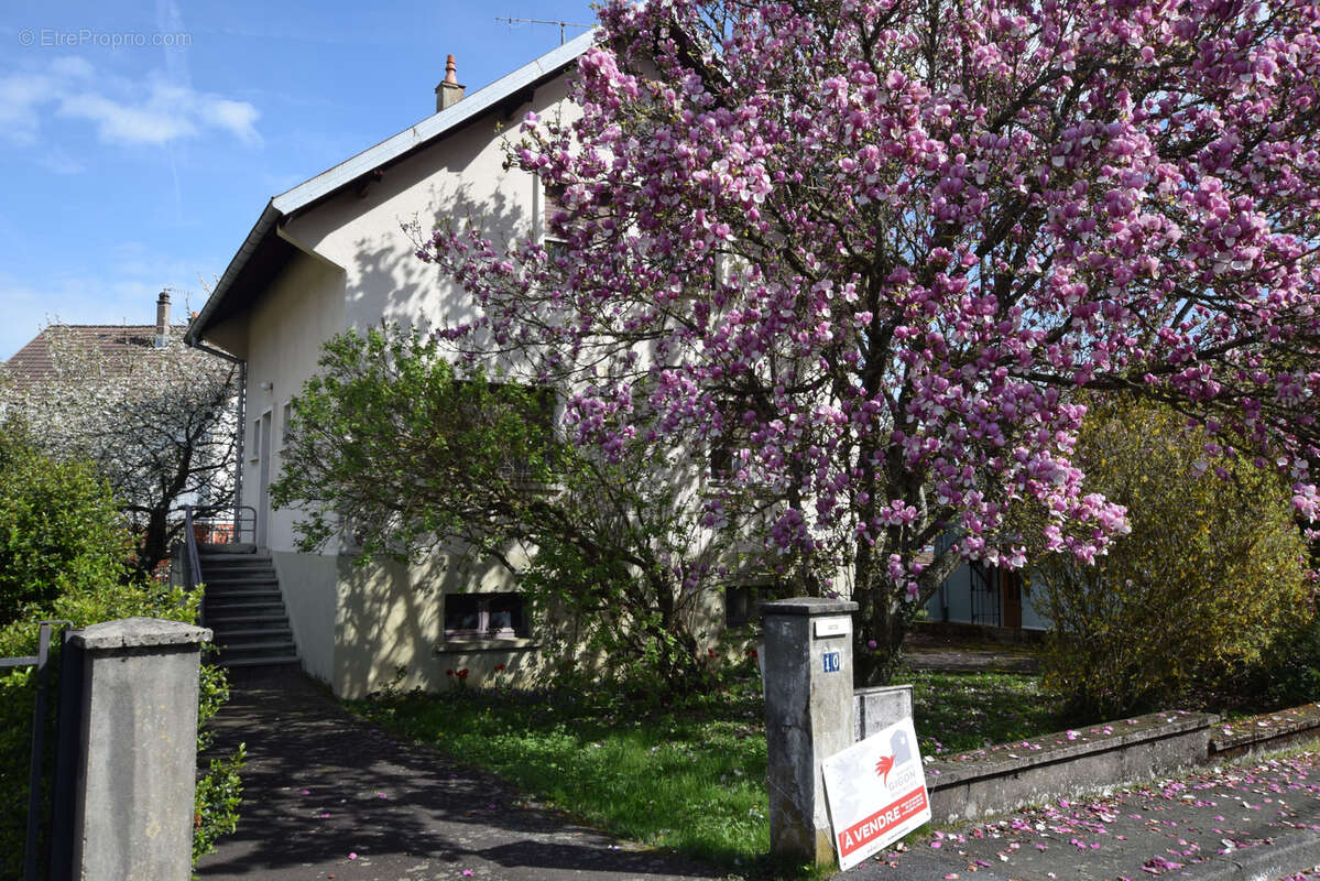 Maison à MONTBELIARD