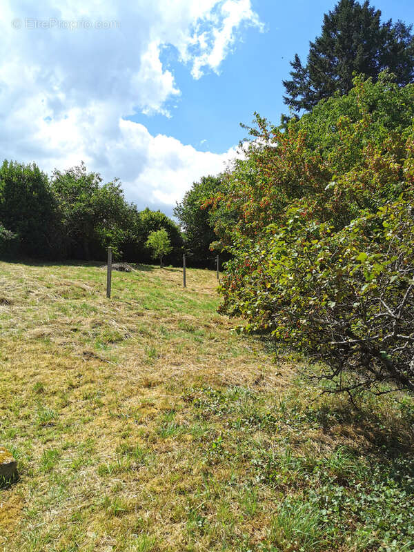Maison à SAINT-DENIS-DES-MURS