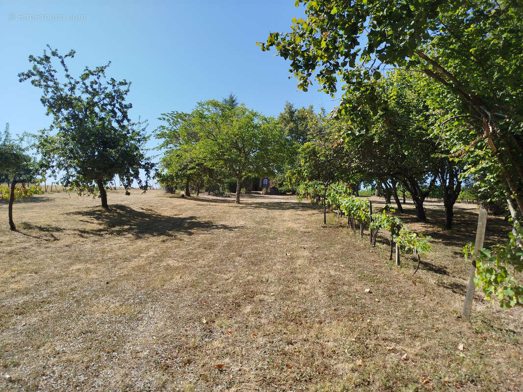 Maison à SAINT-ANDRE-ET-APPELLES