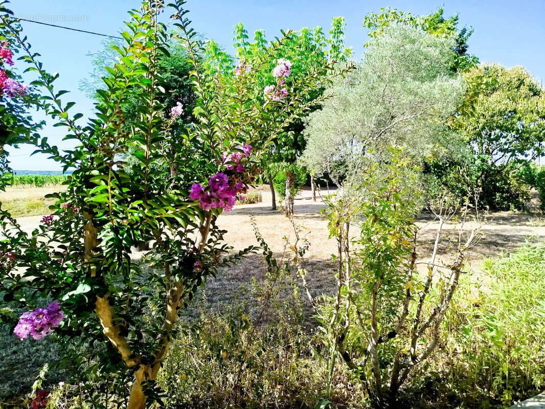 Maison à SAINT-ANDRE-ET-APPELLES