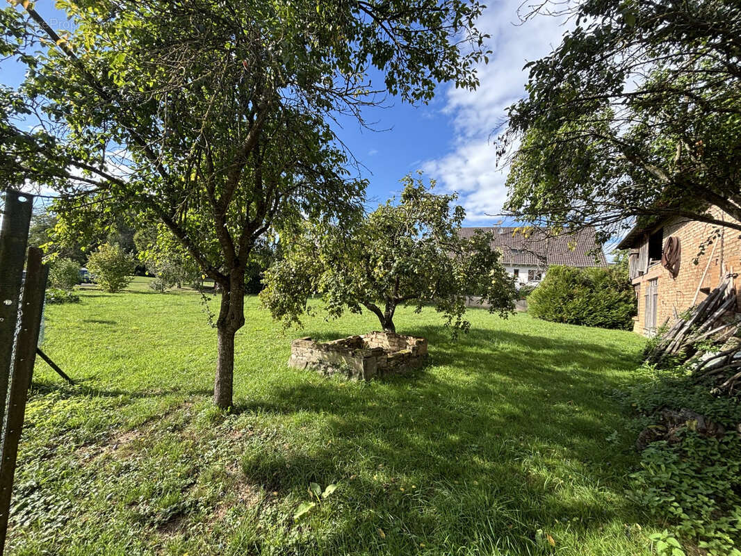 Terrain à TRUCHTERSHEIM