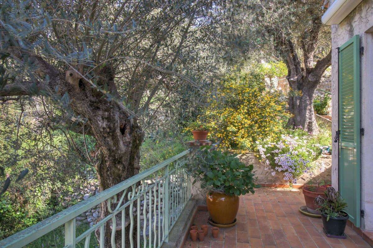 Maison à SAINT-MARTIN-DU-VAR