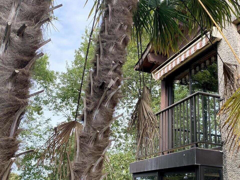 Appartement à CAZAUBON