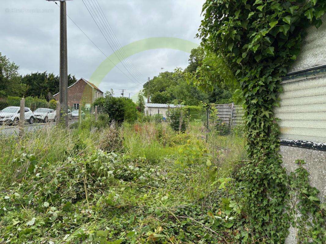 Maison à MARQUETTE-EN-OSTREVANT