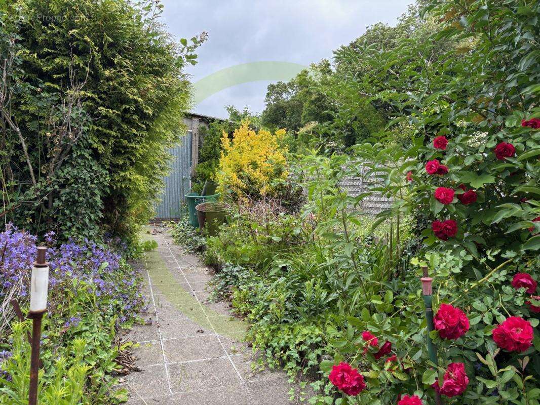 Maison à MARQUETTE-EN-OSTREVANT