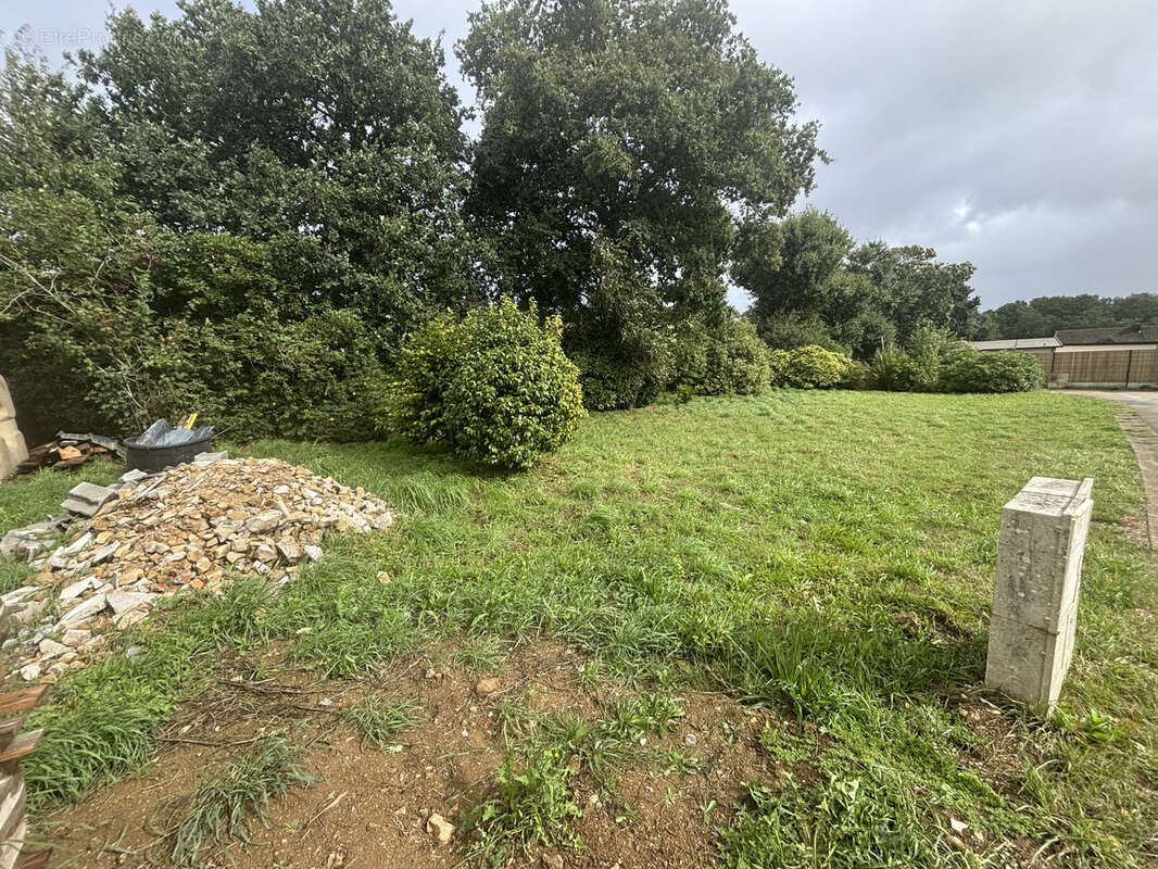 Terrain à PLOUDANIEL