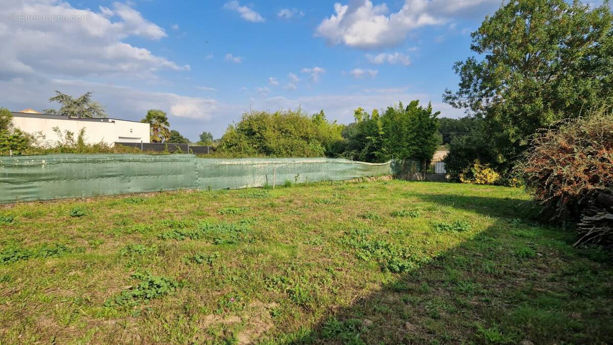 Terrain à SAINT-JULIEN-DE-CONCELLES