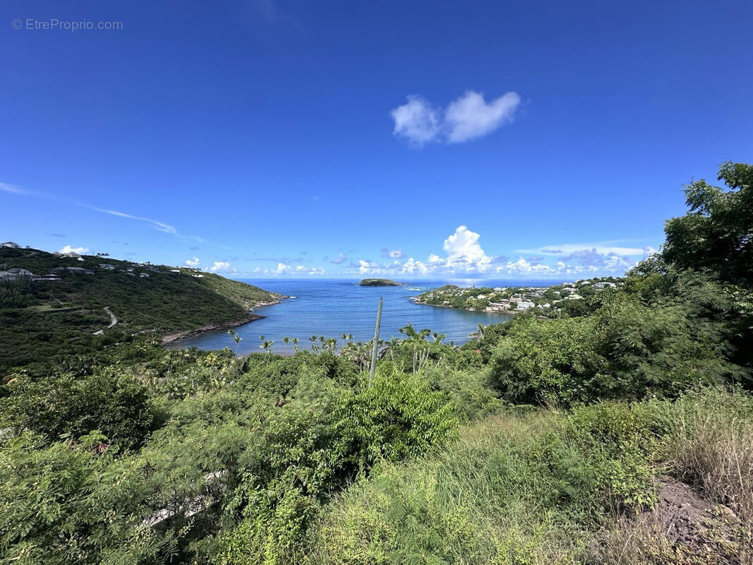 Terrain à CAPESTERRE-BELLE-EAU