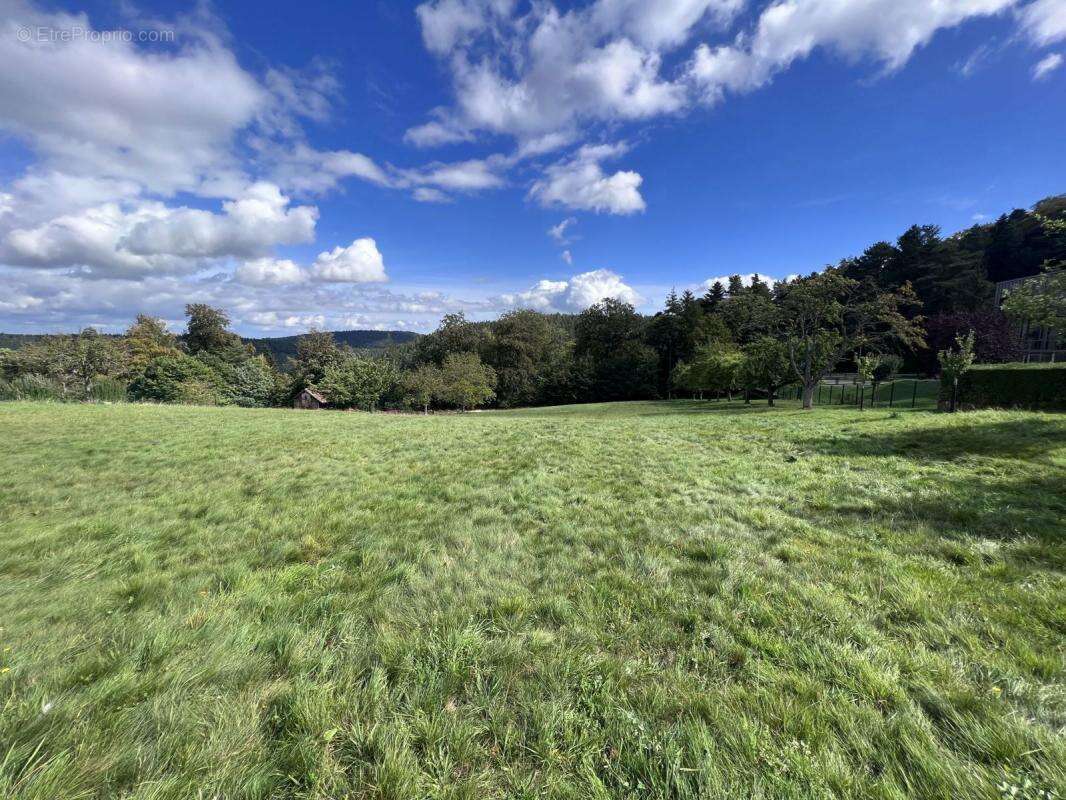 Terrain à WANGENBOURG-ENGENTHAL