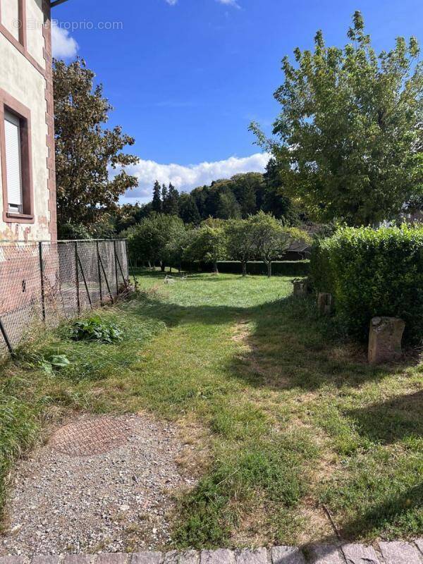 Terrain à WANGENBOURG-ENGENTHAL