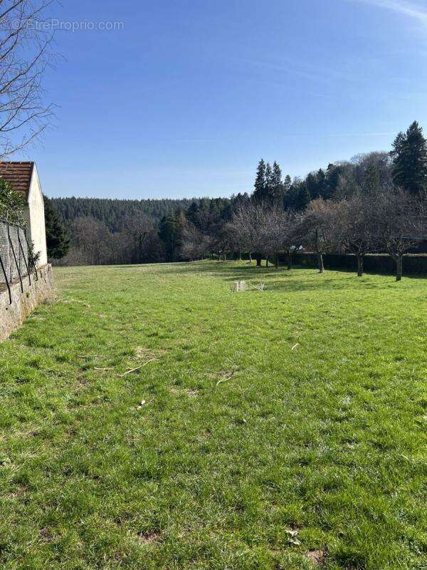 Terrain à WANGENBOURG-ENGENTHAL