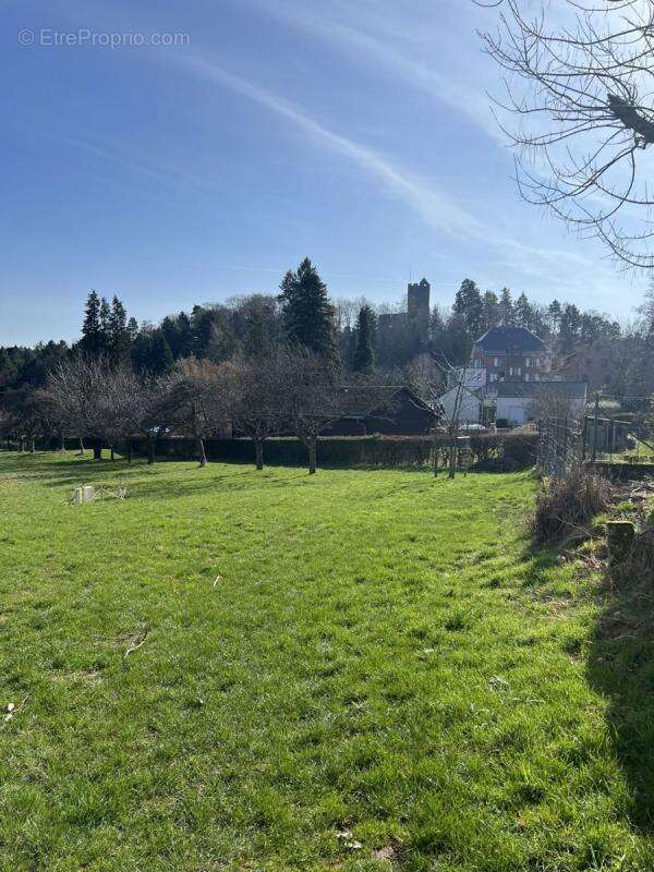 Terrain à WANGENBOURG-ENGENTHAL