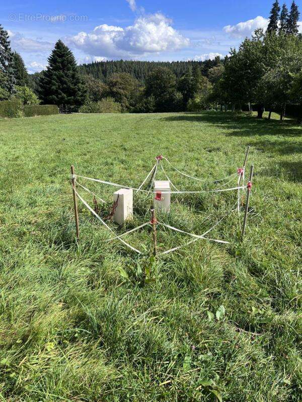 Terrain à WANGENBOURG-ENGENTHAL