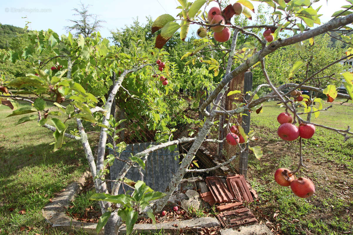 Maison à PUY-L&#039;EVEQUE