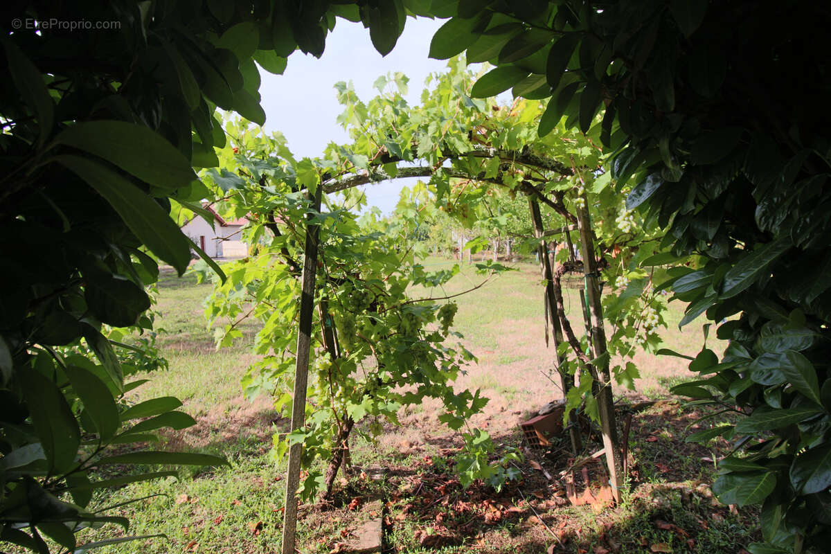 Maison à PUY-L&#039;EVEQUE