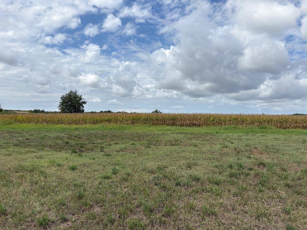 Terrain à LA VILLE-DIEU-DU-TEMPLE