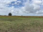 Terrain à LA VILLE-DIEU-DU-TEMPLE
