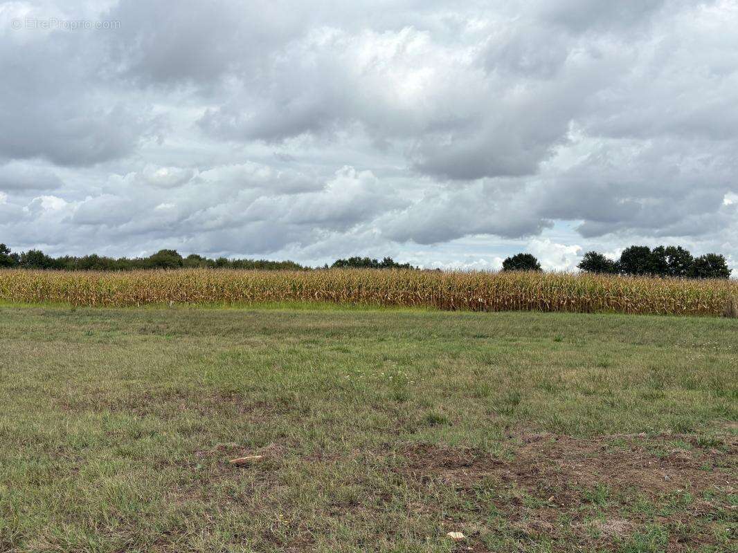 Terrain à LA VILLE-DIEU-DU-TEMPLE