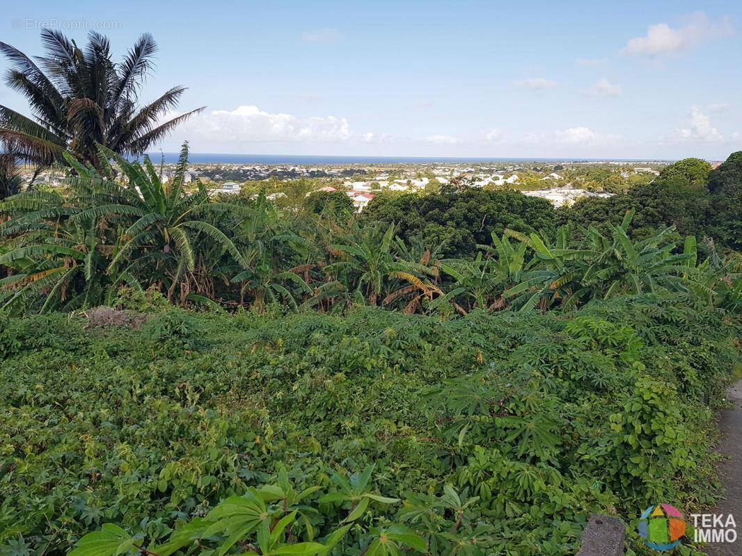 Terrain à SAINTE-SUZANNE