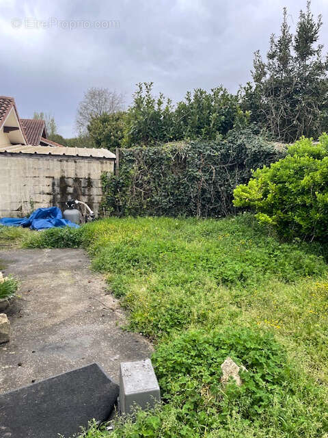 Commerce à CADAUJAC