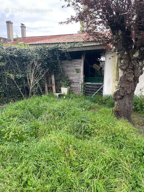 Commerce à CADAUJAC