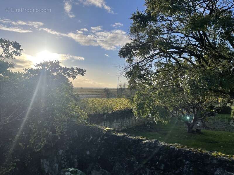 Maison à LE PUY-NOTRE-DAME