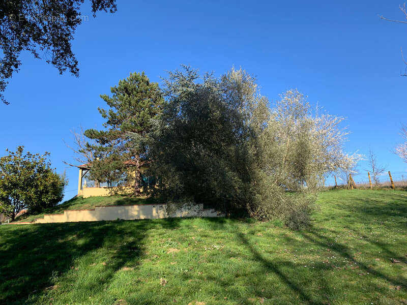 Maison à SAINT-JEAN