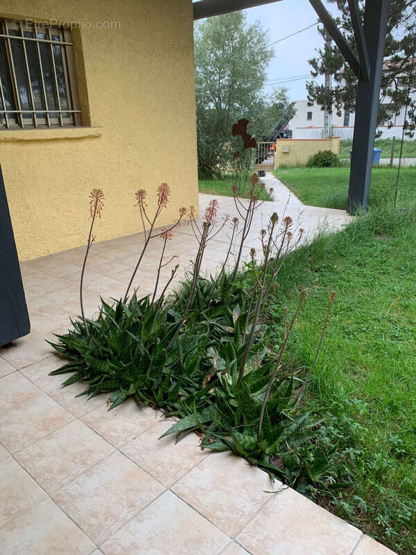 Maison à SAINT-JEAN