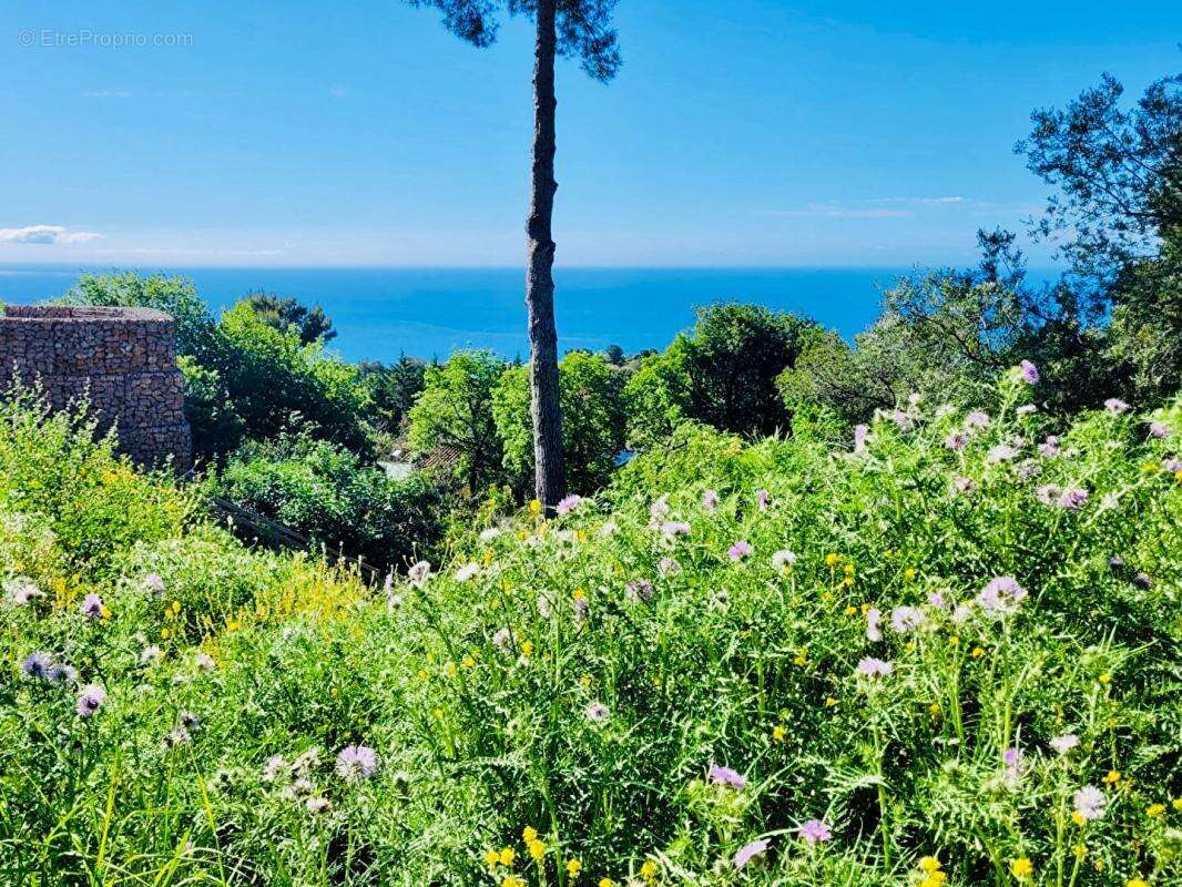 Terrain à LA TURBIE