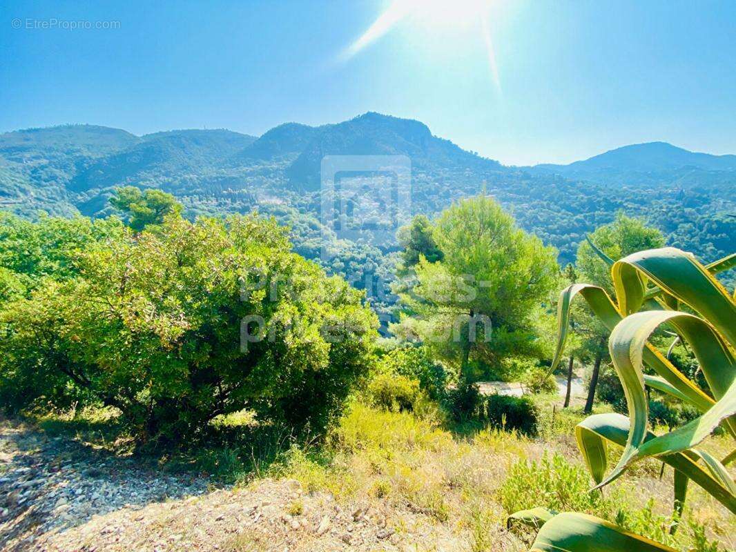 Terrain à CASTAGNIERS