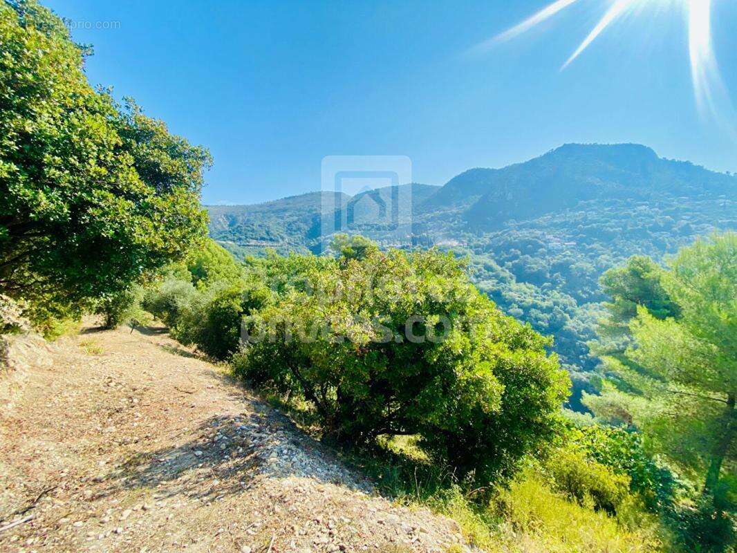 Terrain à CASTAGNIERS