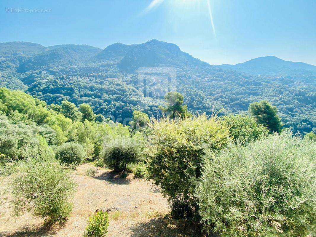 Terrain à CASTAGNIERS