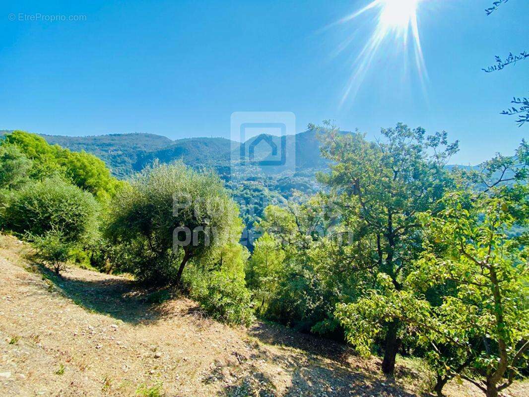 Terrain à CASTAGNIERS