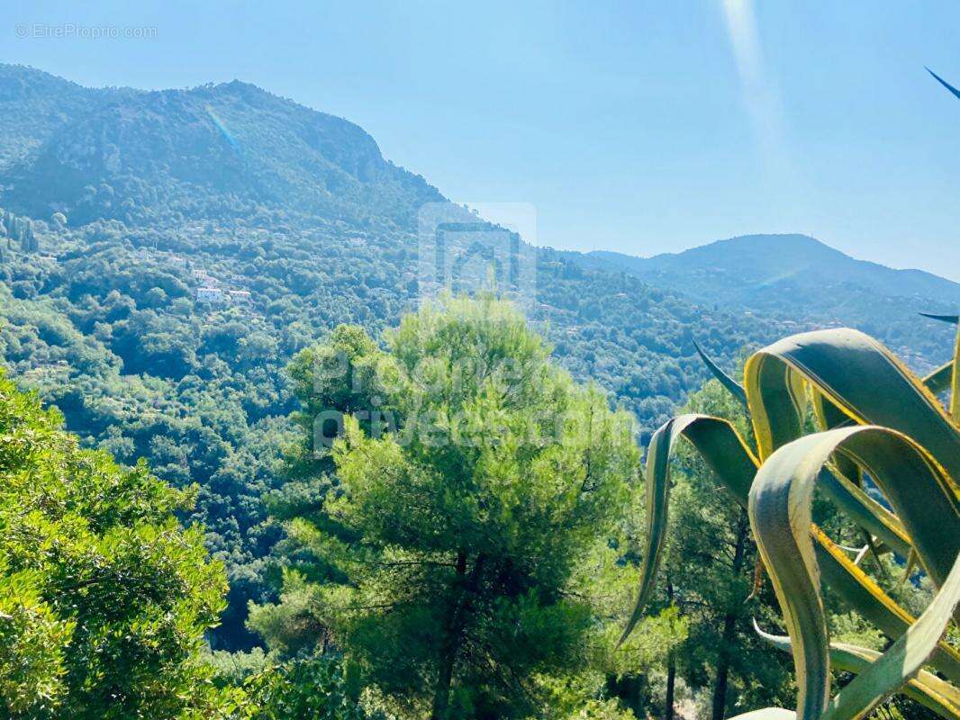 Terrain à CASTAGNIERS