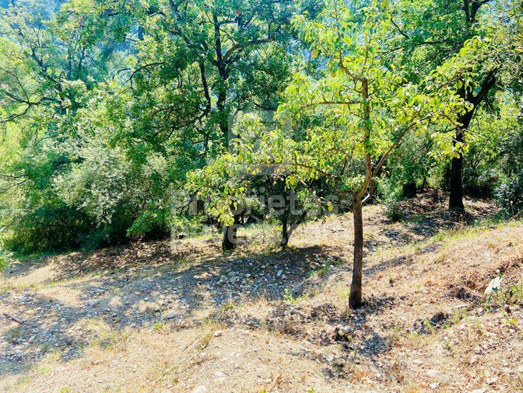 Terrain à CASTAGNIERS