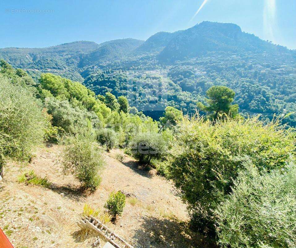 Terrain à CASTAGNIERS