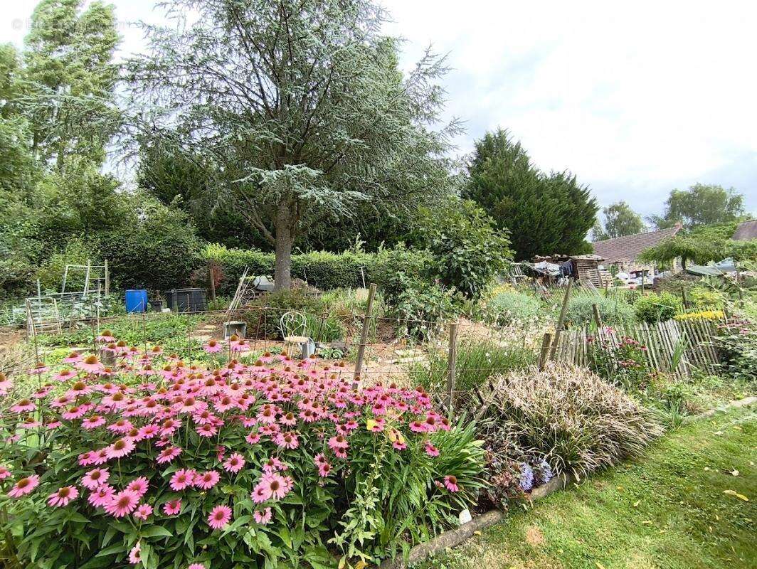 Maison à SANCY-LES-PROVINS