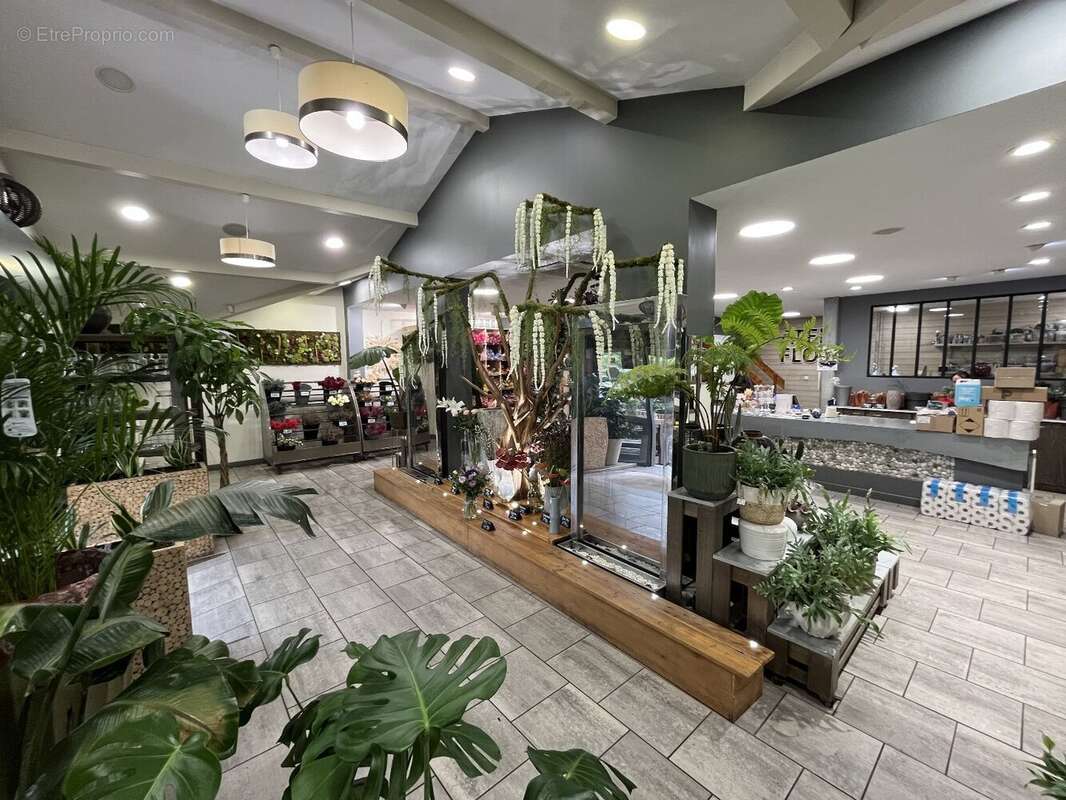 Commerce à CAPBRETON